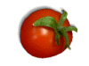 Captcha image 5262